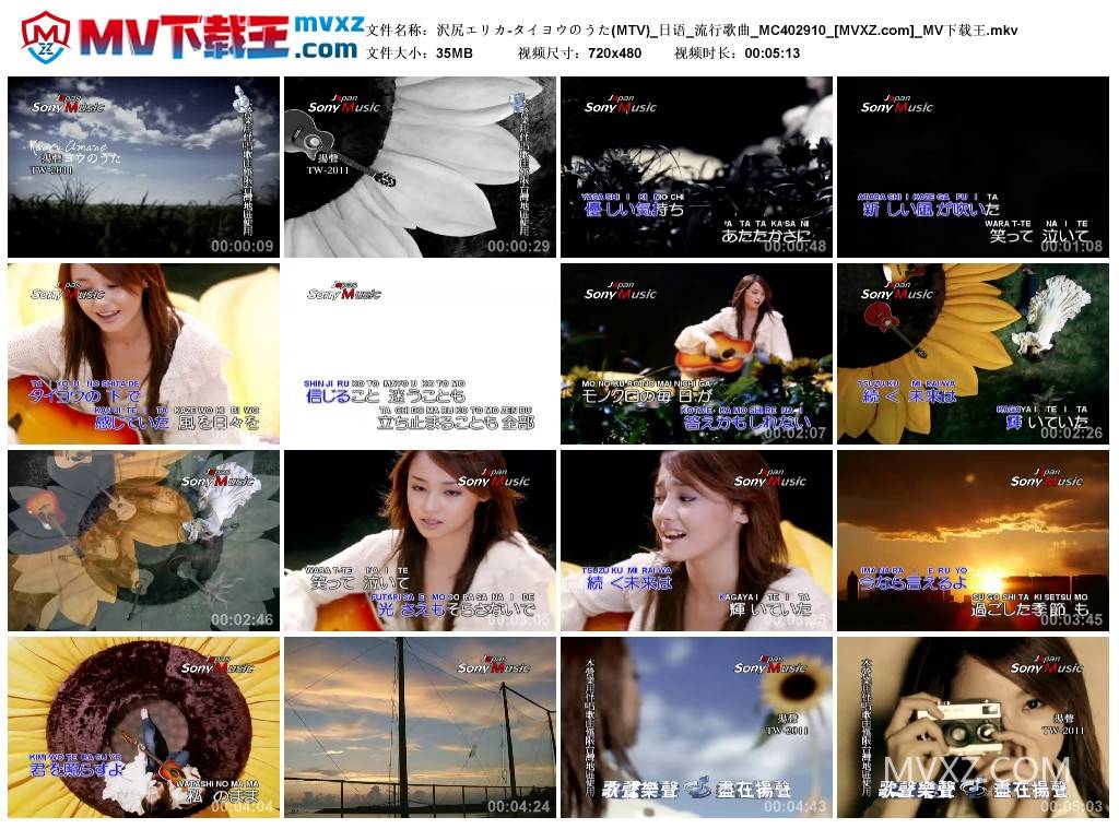 沢尻エリカ-タイヨウのうた(MTV)_日语_流行歌曲_MC402910